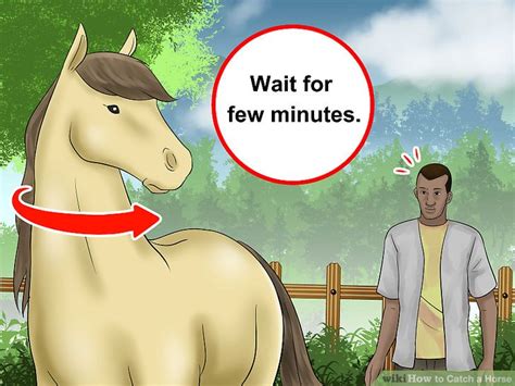 how to catch a horse that runs away
